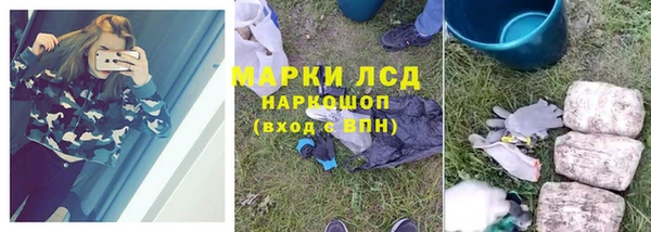 хмурый Алексин