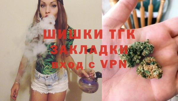 гидра Алексеевка